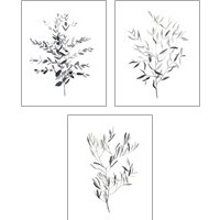 Framed Paynes Grey Botanicals 3 Piece Art Print Set