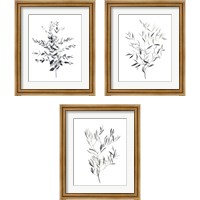 Framed 'Paynes Grey Botanicals 3 Piece Framed Art Print Set' border=