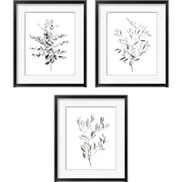 Framed Paynes Grey Botanicals 3 Piece Framed Art Print Set