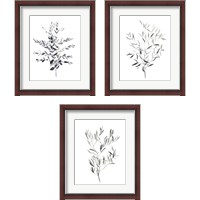 Framed Paynes Grey Botanicals 3 Piece Framed Art Print Set