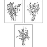 Framed 'Black & White Bouquet 3 Piece Art Print Set' border=