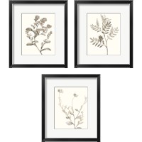 Framed Neutral Botanical Study 3 Piece Framed Art Print Set