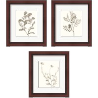 Framed Neutral Botanical Study 3 Piece Framed Art Print Set