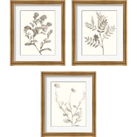 Framed Neutral Botanical Study 3 Piece Framed Art Print Set