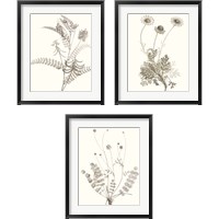 Framed Neutral Botanical Study 3 Piece Framed Art Print Set