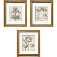 Framed 'Fresco Artichoke 3 Piece Framed Art Print Set' border=