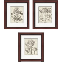 Framed Fresco Artichoke 3 Piece Framed Art Print Set