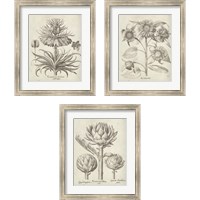 Framed Fresco Artichoke 3 Piece Framed Art Print Set