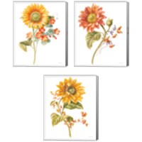 Framed 'Floursack Autumn on White 3 Piece Canvas Print Set' border=