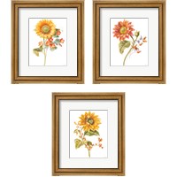 Framed Floursack Autumn on White 3 Piece Framed Art Print Set