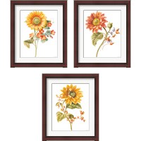 Framed 'Floursack Autumn on White 3 Piece Framed Art Print Set' border=