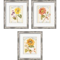 Framed 'Floursack Autumn 3 Piece Framed Art Print Set' border=