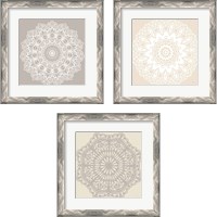 Framed 'Contemporary Lace Neutral 3 Piece Framed Art Print Set' border=