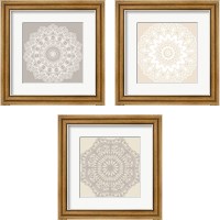 Framed 'Contemporary Lace Neutral 3 Piece Framed Art Print Set' border=