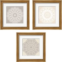 Framed Contemporary Lace Neutral 3 Piece Framed Art Print Set