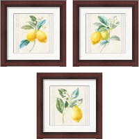 Framed Floursack Lemons Sq Navy 3 Piece Framed Art Print Set