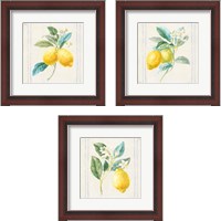 Framed Floursack Lemons Sq Navy 3 Piece Framed Art Print Set