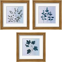 Framed Botanical StudyBlue 3 Piece Framed Art Print Set