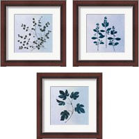 Framed Botanical StudyBlue 3 Piece Framed Art Print Set