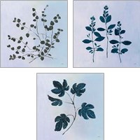 Framed Botanical StudyBlue 3 Piece Art Print Set
