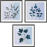 Framed Botanical StudyBlue 3 Piece Framed Art Print Set