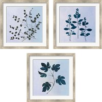 Framed Botanical StudyBlue 3 Piece Framed Art Print Set