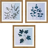 Framed Botanical StudyBlue 3 Piece Framed Art Print Set