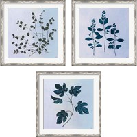Framed 'Botanical StudyBlue 3 Piece Framed Art Print Set' border=
