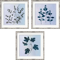 Framed 'Botanical StudyBlue 3 Piece Framed Art Print Set' border=
