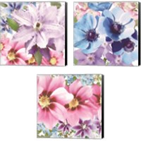 Framed Clematis 3 Piece Canvas Print Set