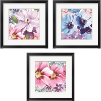 Framed Clematis 3 Piece Framed Art Print Set