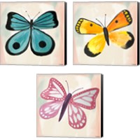 Framed 'Butterfly  3 Piece Canvas Print Set' border=