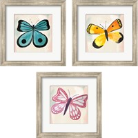 Framed 'Butterfly  3 Piece Framed Art Print Set' border=