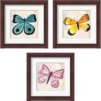 Framed Butterfly  3 Piece Framed Art Print Set