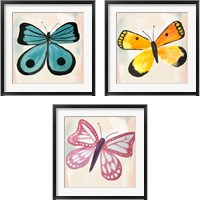 Framed Butterfly  3 Piece Framed Art Print Set