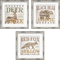 Framed 'Cabin Lodge 3 Piece Framed Art Print Set' border=