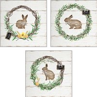 Framed 'Spring Wreath 3 Piece Art Print Set' border=