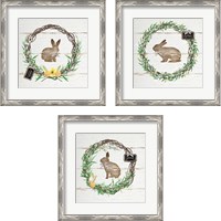 Framed 'Spring Wreath 3 Piece Framed Art Print Set' border=