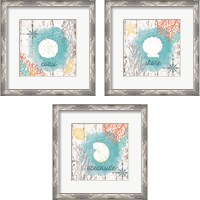 Framed 'Beach Shell 3 Piece Framed Art Print Set' border=