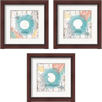 Framed 'Beach Shell 3 Piece Framed Art Print Set' border=