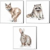 Framed 'Forest Friends 3 Piece Canvas Print Set' border=