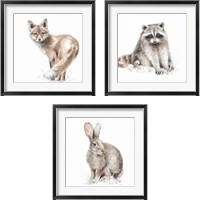 Framed Forest Friends 3 Piece Framed Art Print Set