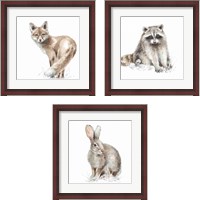 Framed 'Forest Friends 3 Piece Framed Art Print Set' border=