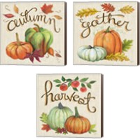 Framed 'Autumn Harvest Linen 3 Piece Canvas Print Set' border=
