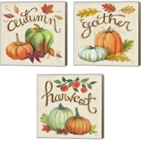 Framed Autumn Harvest Linen 3 Piece Canvas Print Set