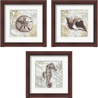 Framed 'Gray Gold Chevron Sea Life 3 Piece Framed Art Print Set' border=