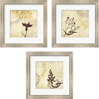 Framed 'Golden Henna Breeze 3 Piece Framed Art Print Set' border=