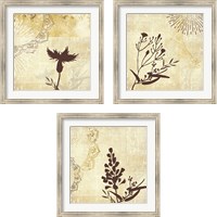 Framed 'Golden Henna Breeze 3 Piece Framed Art Print Set' border=
