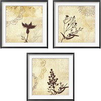 Framed 'Golden Henna Breeze 3 Piece Framed Art Print Set' border=