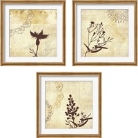 Framed 'Golden Henna Breeze 3 Piece Framed Art Print Set' border=